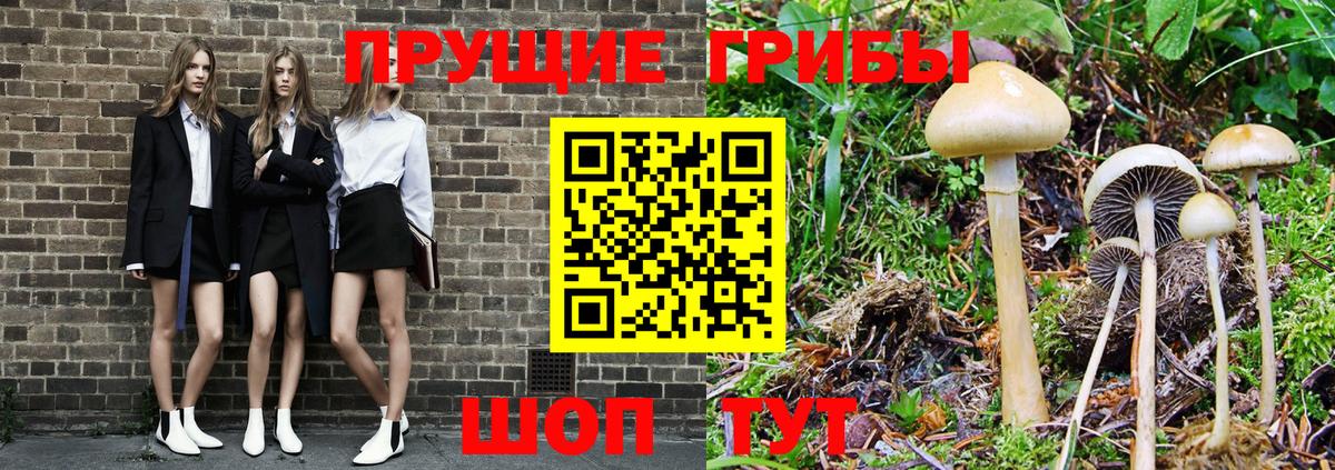 Галлюциногенные грибы ЛСД  Вход с VPN  Алатырь 